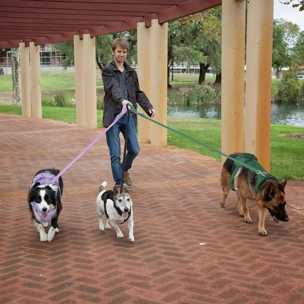 PaddedControl • No Pull Dog Harness