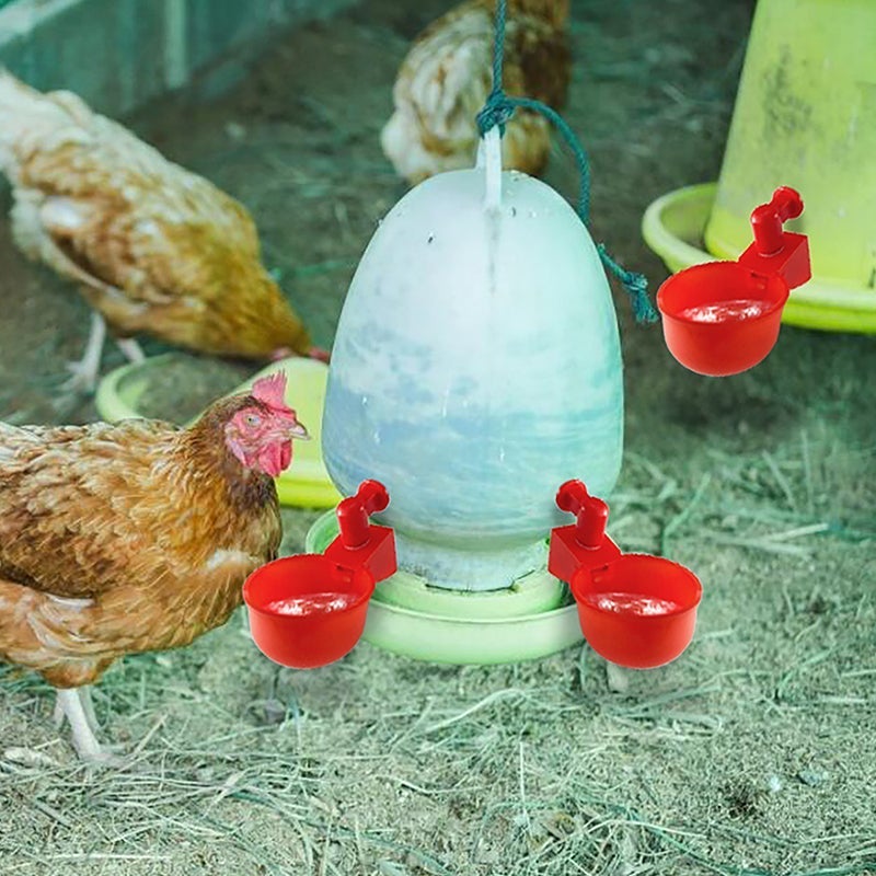 BowLift | Automatic Poultry Drinker