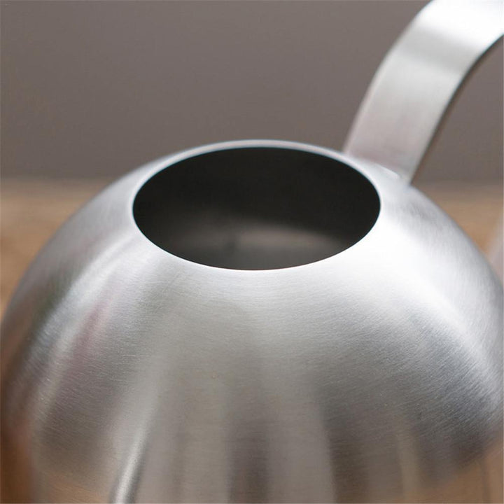 BowLift | Stainless Steel Watering Can with Flexible Neck | Modern Design | Perfect Watering | Rustproof