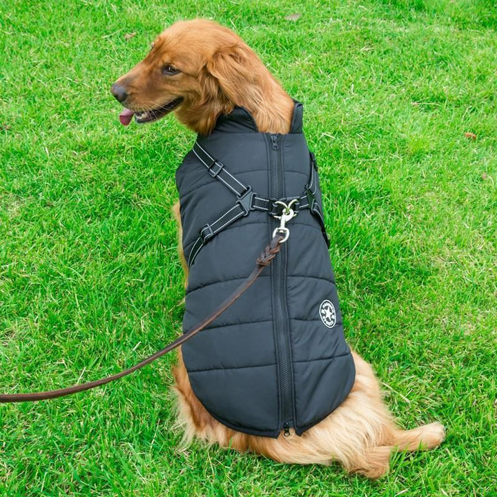 Winter coat with zipper for dogs | Bowlift