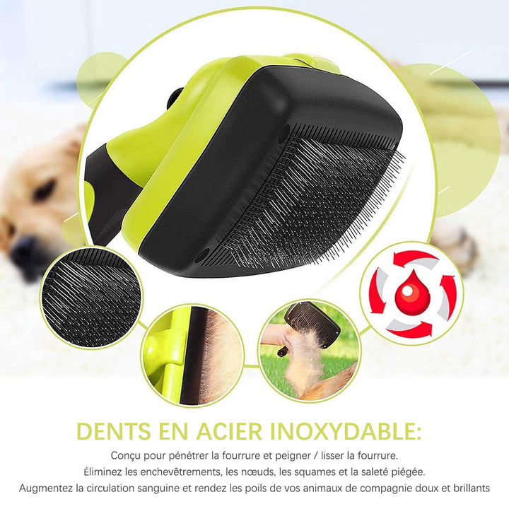 Ciaovie Brush for Pet Cleaning | Bowlift
