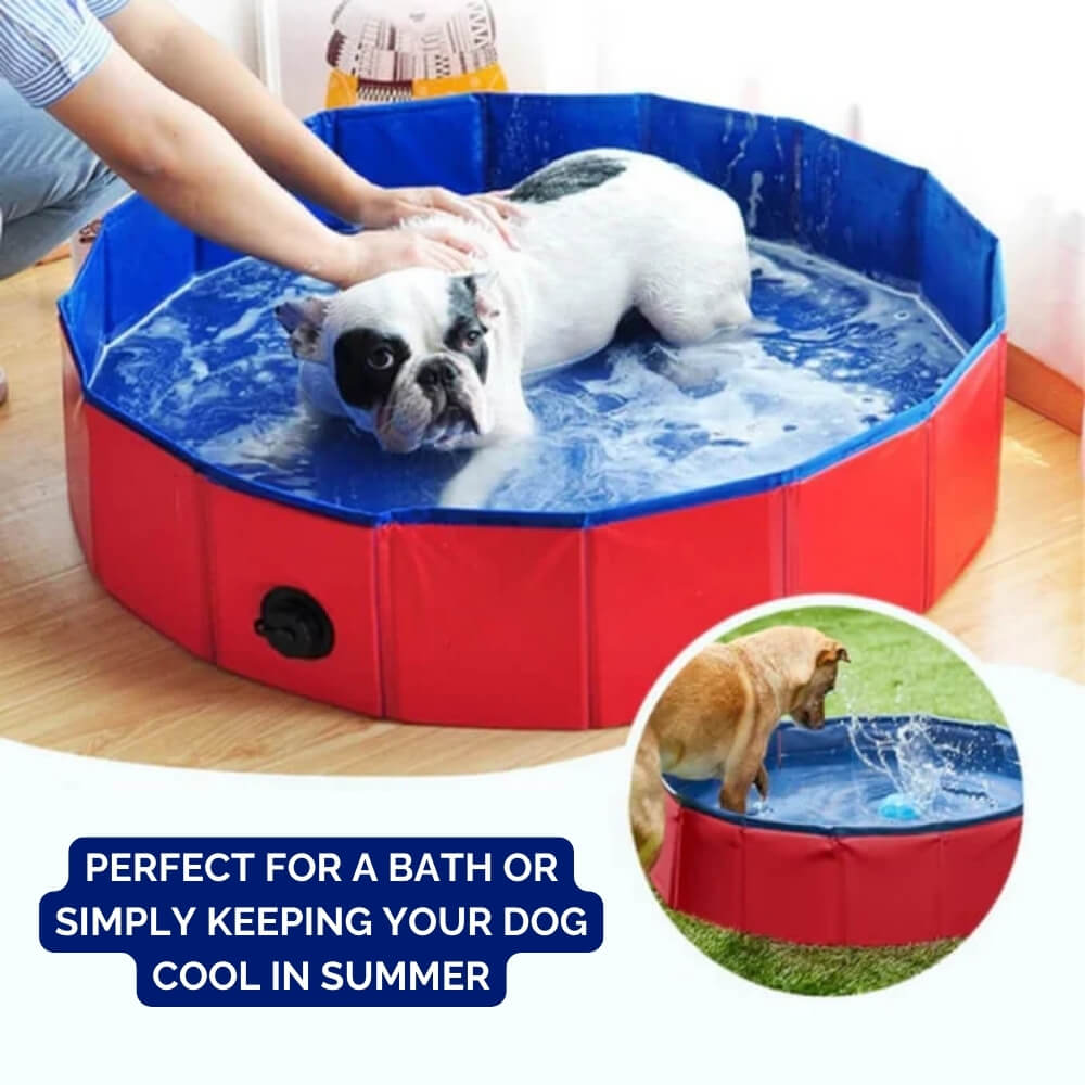 SplashZone • Dog Pool