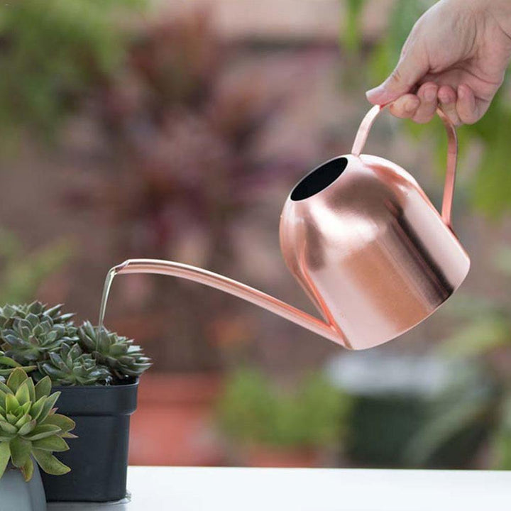 BowLift | Stainless Steel Watering Can with Flexible Neck | Modern Design | Perfect Watering | Rustproof