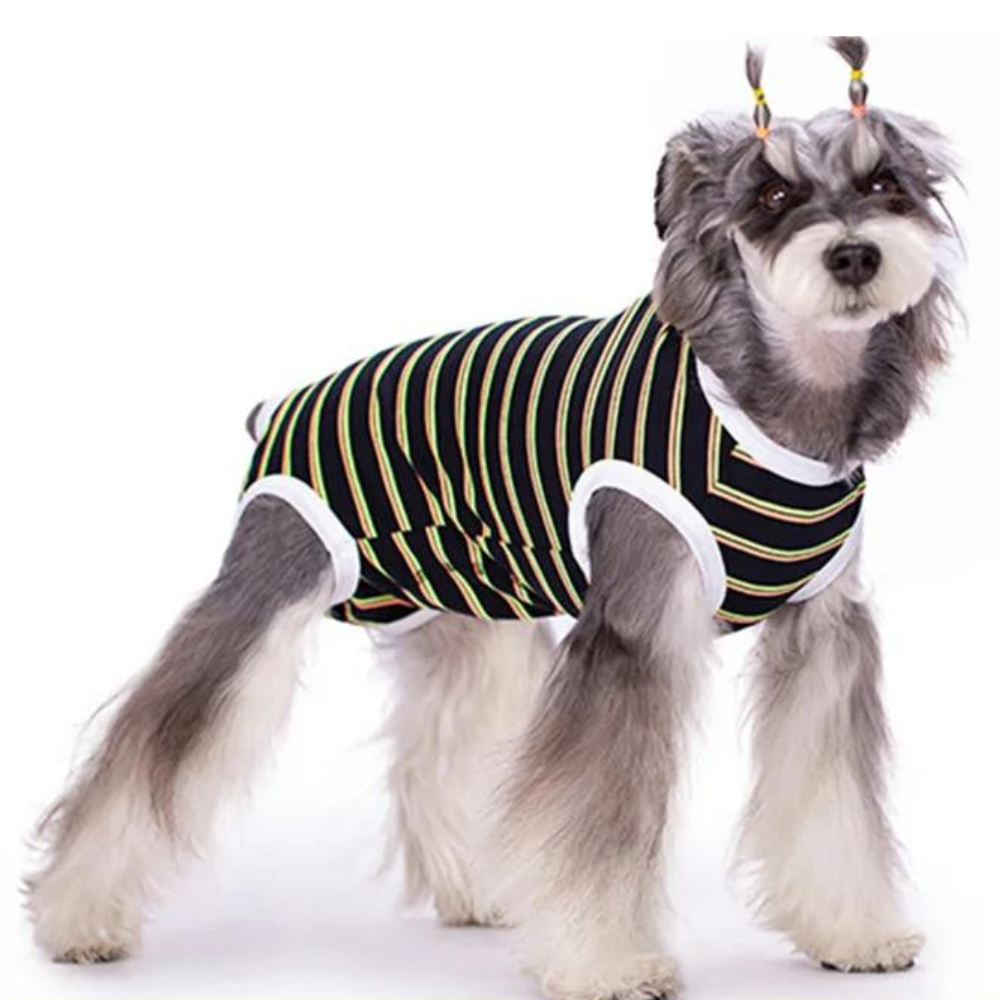 StripeGuard • Dog Recovery Suit for Post-Surgery Care