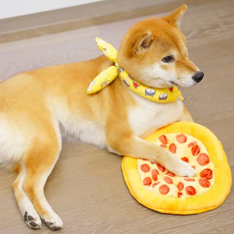 Chewsy • Pizza Dog Toy