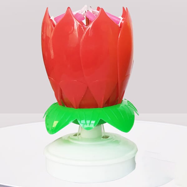 BowLift | 🎂Magic Flower Birthday Candle