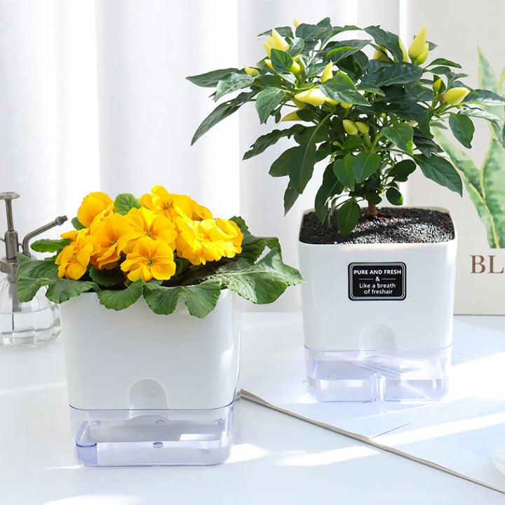 BowLift | Reusable Self-Watering Flowerpot