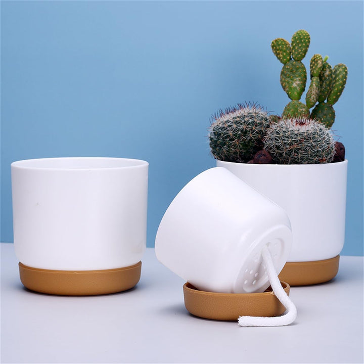 BowLift | Self-watering flower pot for orchids and plants – Plastic plant container