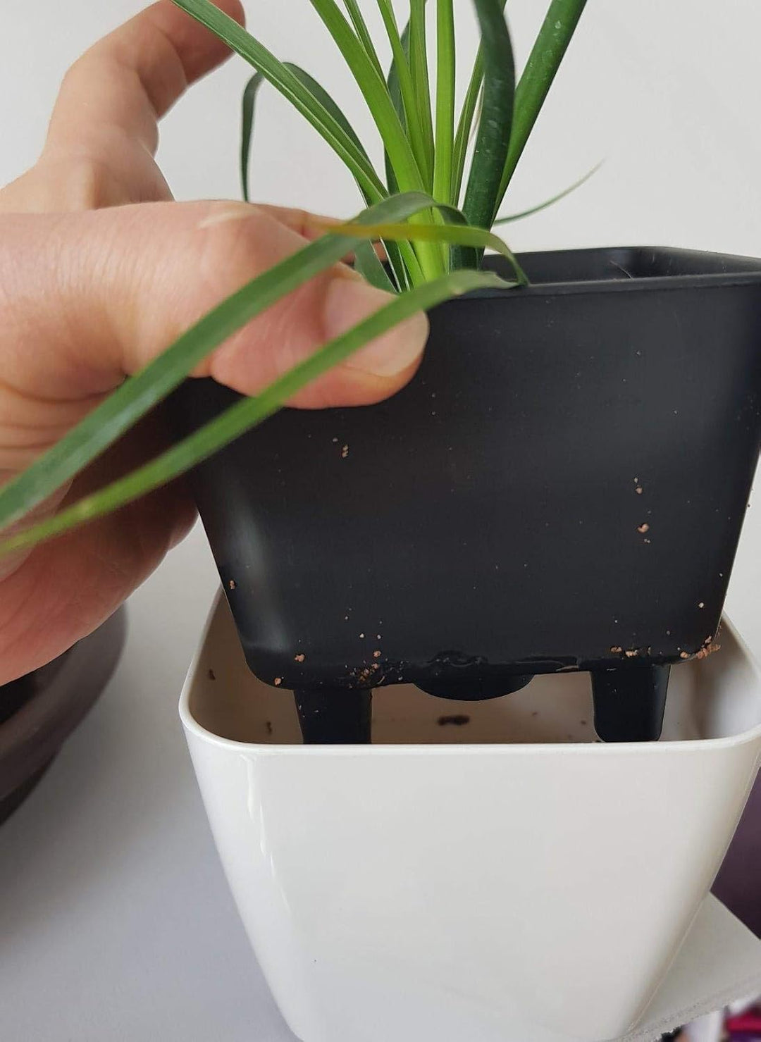 BowLift | Flower pot with irrigation system – Self-watering plant pot for indoor and outdoor use