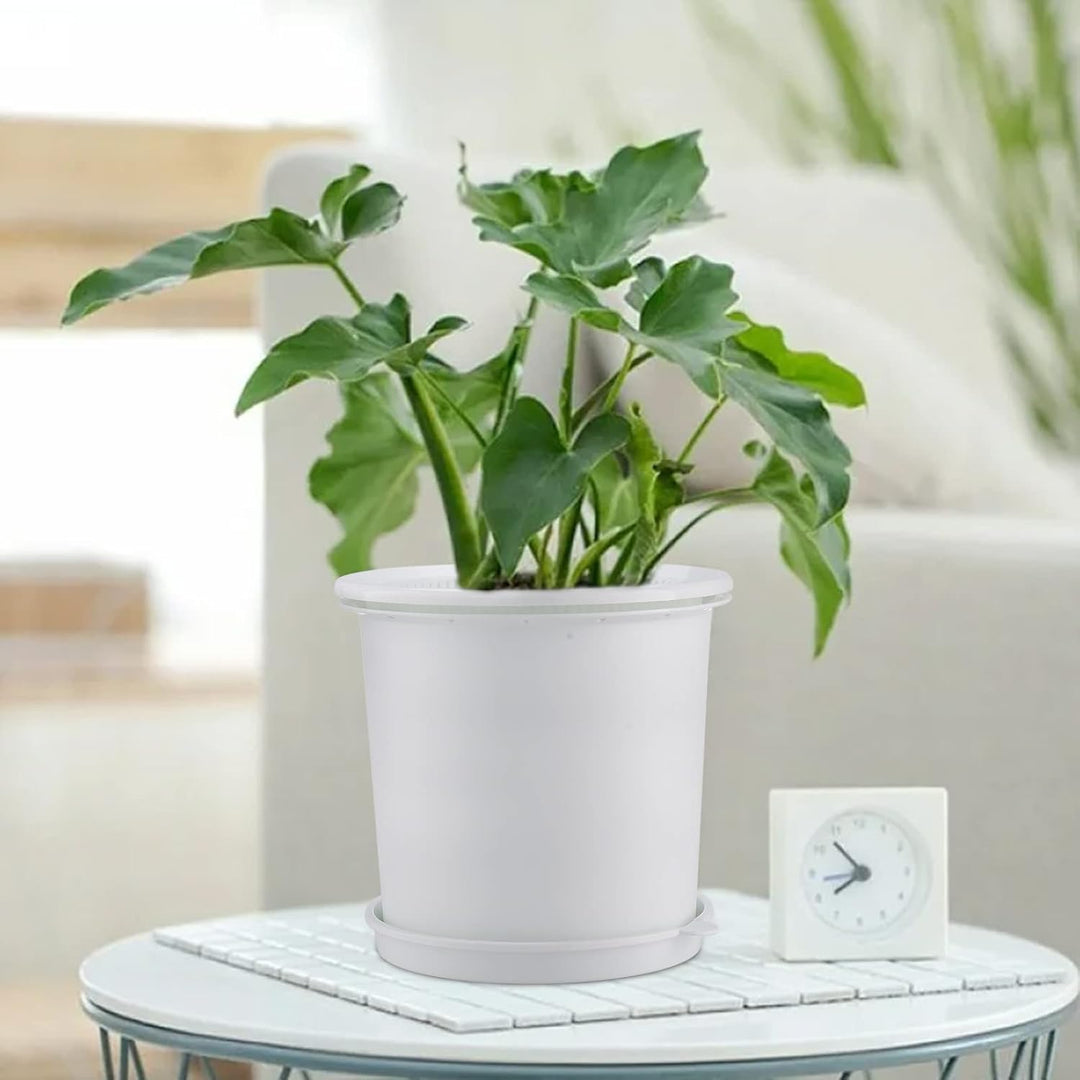 BowLift | Breathable Root Control Pot for Plants – Ideal for Healthy Growth and Optimal Aeration
