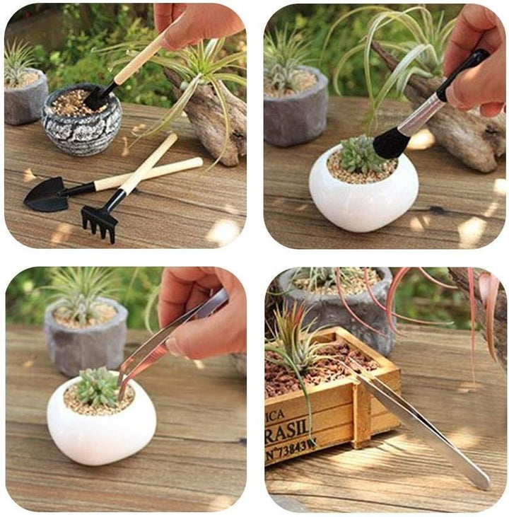 BowLift | Succulent Garden Tool Set with Spray Bottle and Accessories