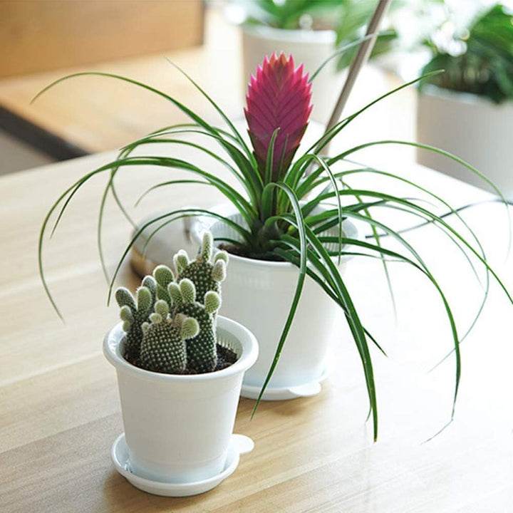 BowLift | Breathable Root Control Pot for Plants – Ideal for Healthy Growth and Optimal Aeration