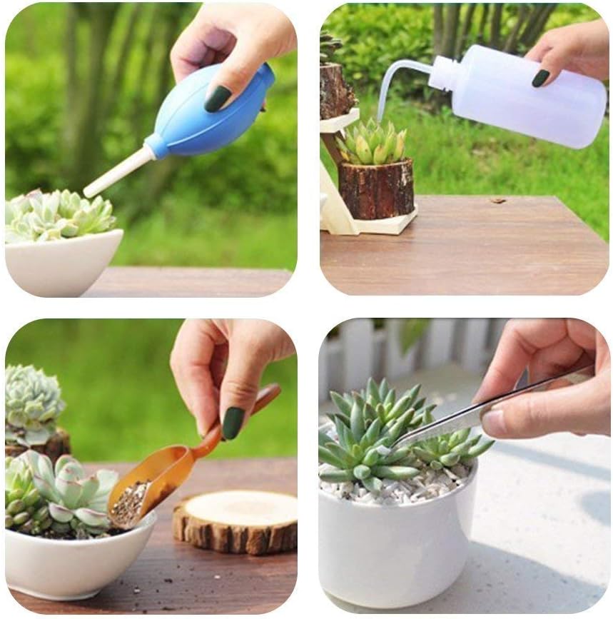 BowLift | Succulent Garden Tool Set with Spray Bottle and Accessories