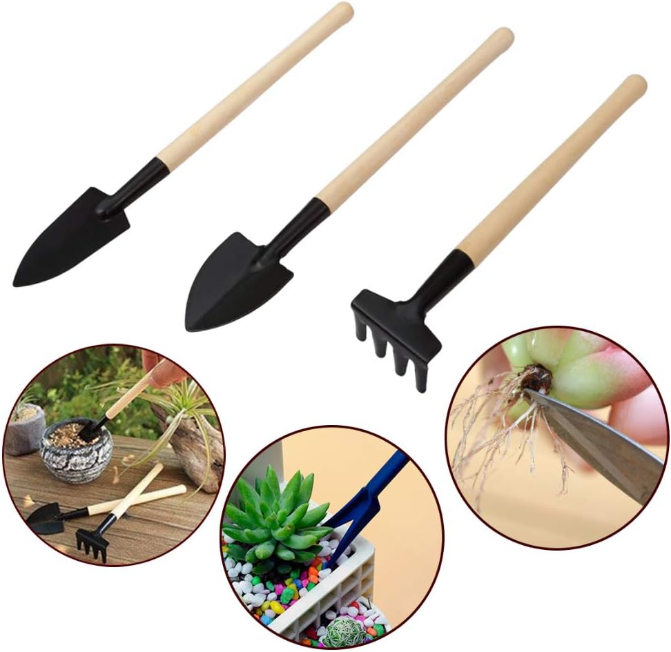 BowLift | Succulent Garden Tool Set with Spray Bottle and Accessories