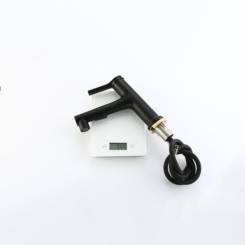 BowLift | Modern Sink Faucet Copper Single Handle Low Arc Pull-Out Sink Faucet