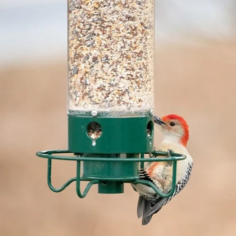 BowLift | Squirrel-proof bird feeder