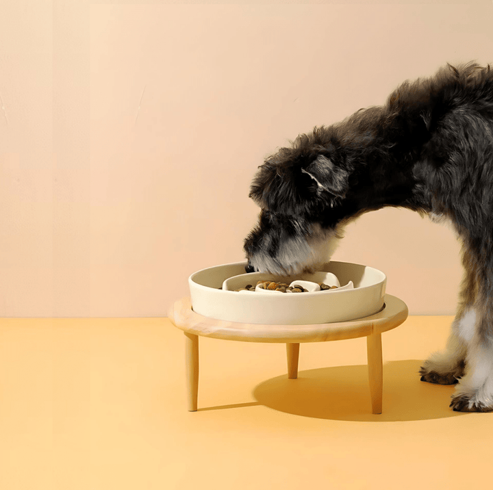 BowLift | Premium Slow Feeder Bowl for Dogs & Cats