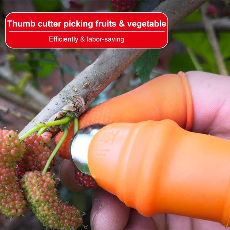 BowLift | (50% Off Today) Harvest vegetables, harvest fruits thumb measure
