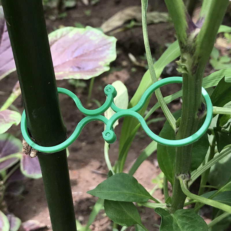 BowLift | Practical garden plant holder (50 pieces)