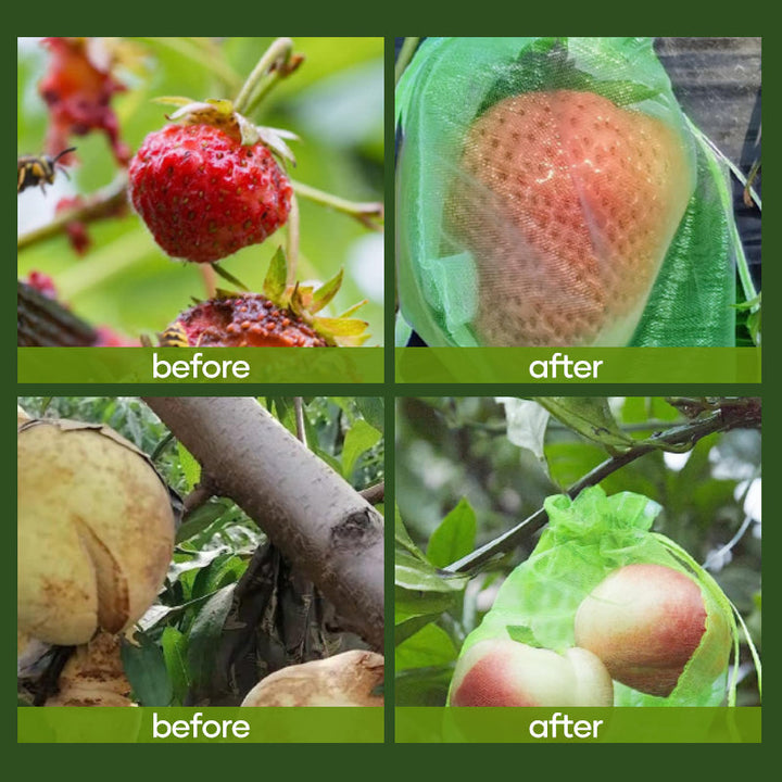 BowLift | Fruit Protection Bag (100 PCS)