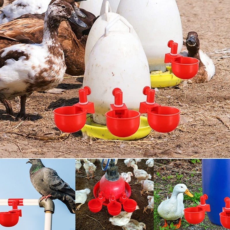 BowLift | Automatic Poultry Drinker