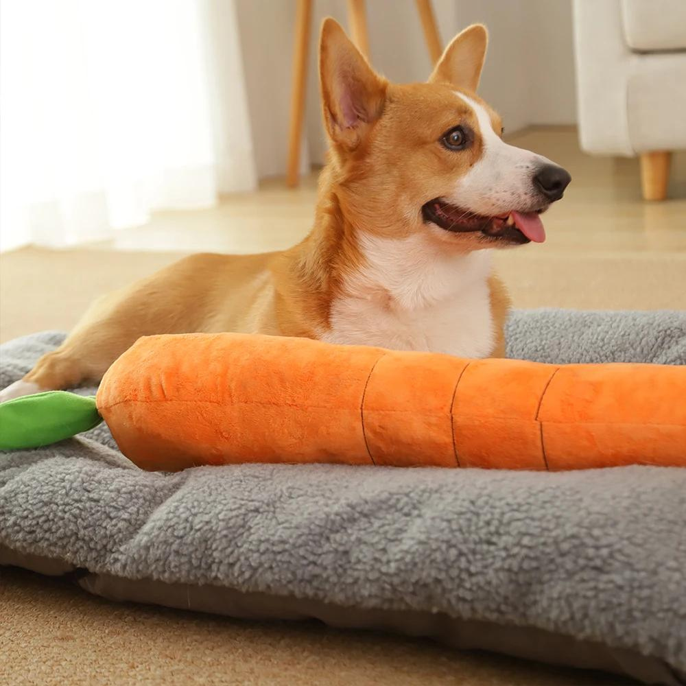 CarrotPlush • Interactive Dog Chew Toy