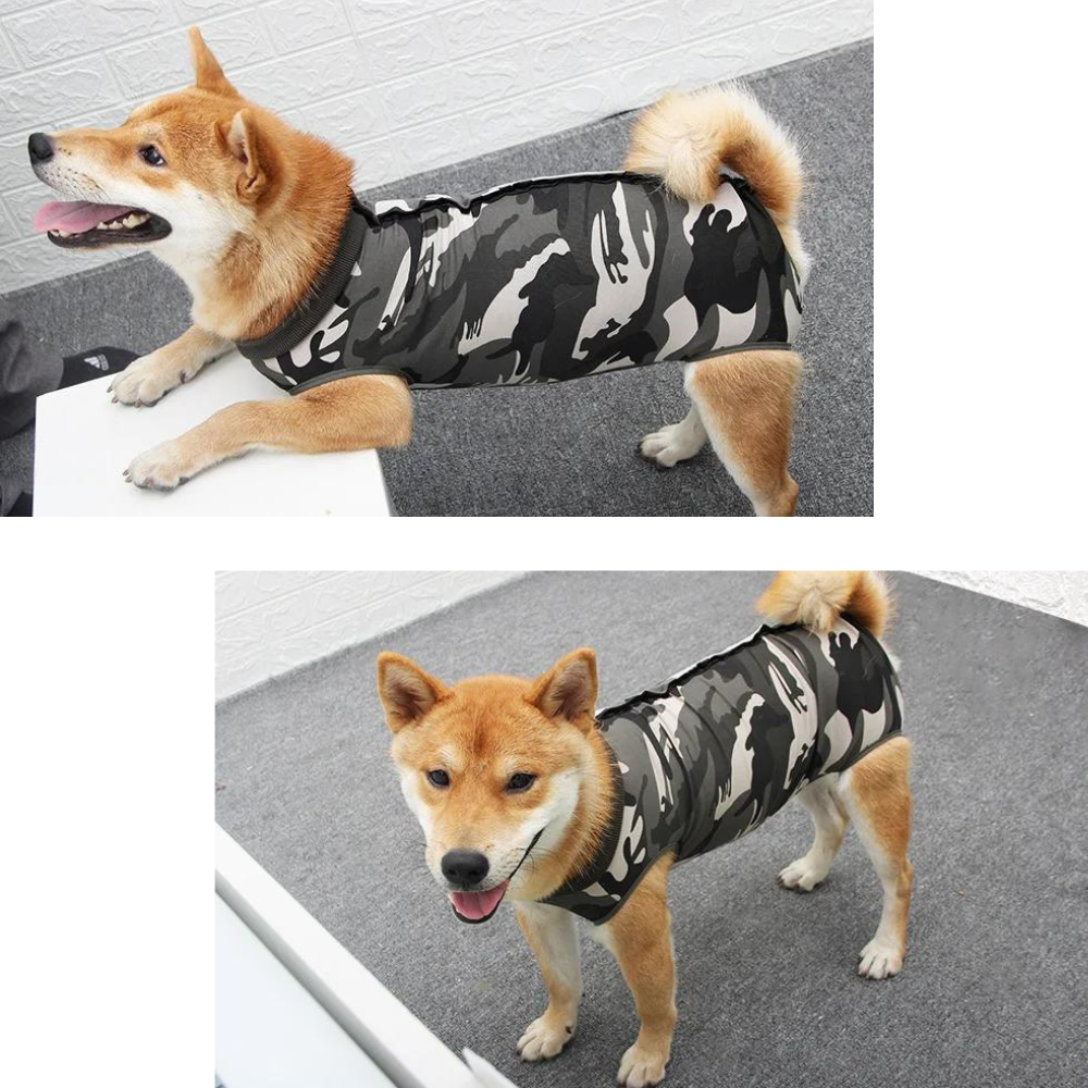 SurgiGuard • Anti-Licking Dog Recovery Suit