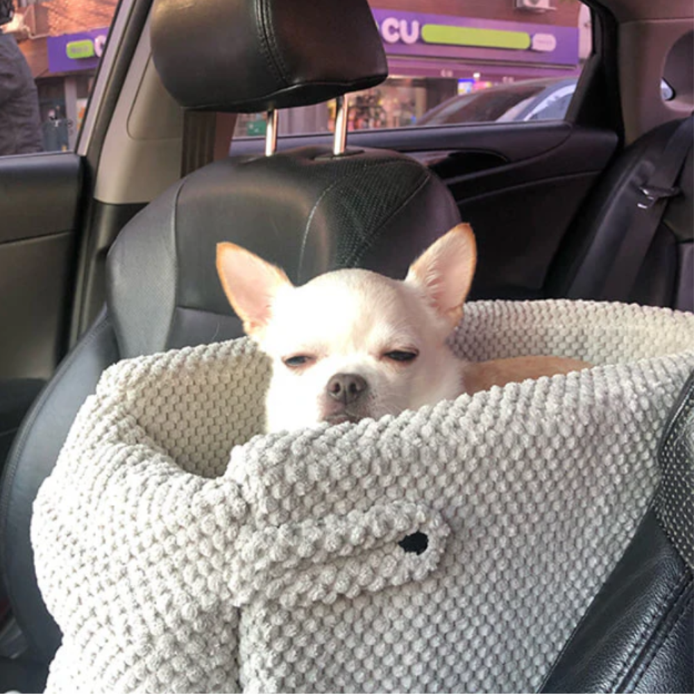 SecureTravel • Small Dog Car Seat