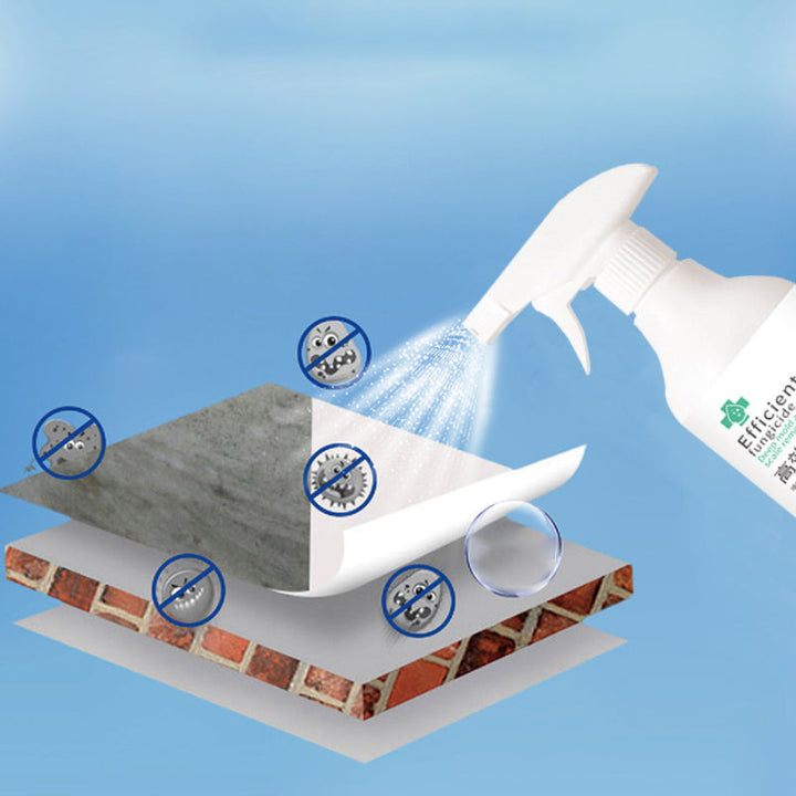 BowLift | High-Efficiency Mold Remover