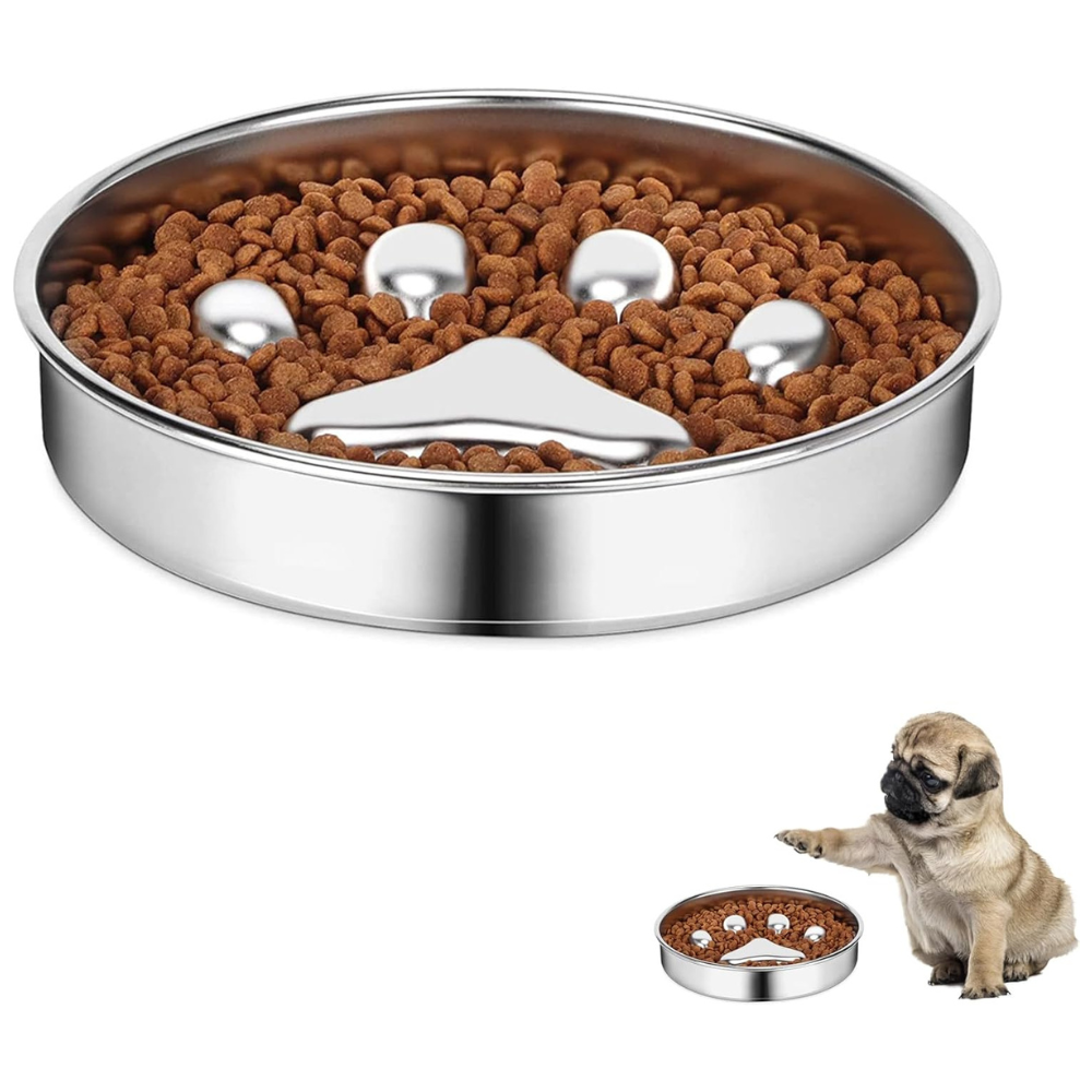 SlowFeast • Dog Feeding Bowl Slow