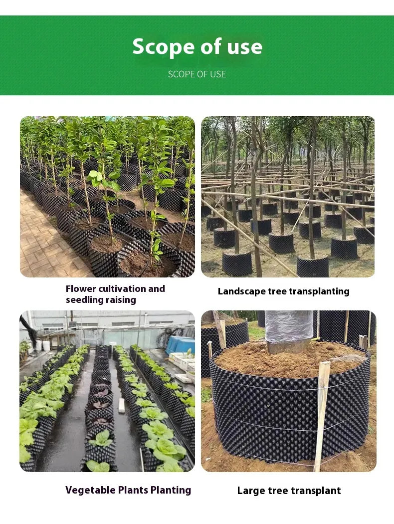 BowLift | Root control device for plants and landscaping to promote healthy growth