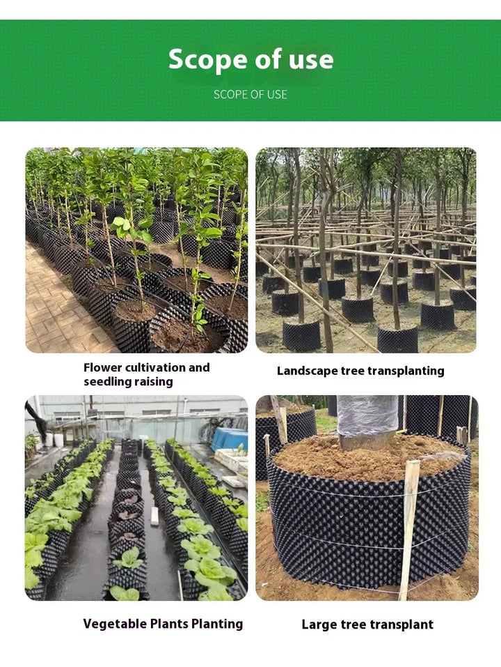 BowLift | Root control device for plants and landscaping to promote healthy growth