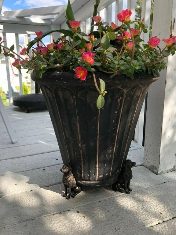 BowLift | PotStand Healthy Root Support