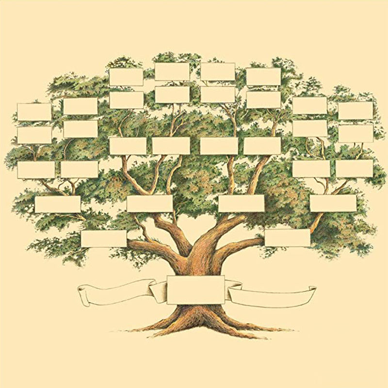 BowLift | Family Tree Genealogy Diagram