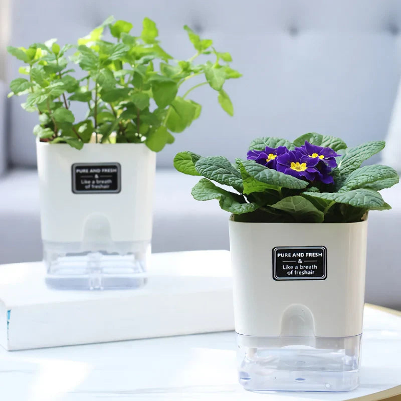 BowLift | Reusable Self-Watering Flowerpot