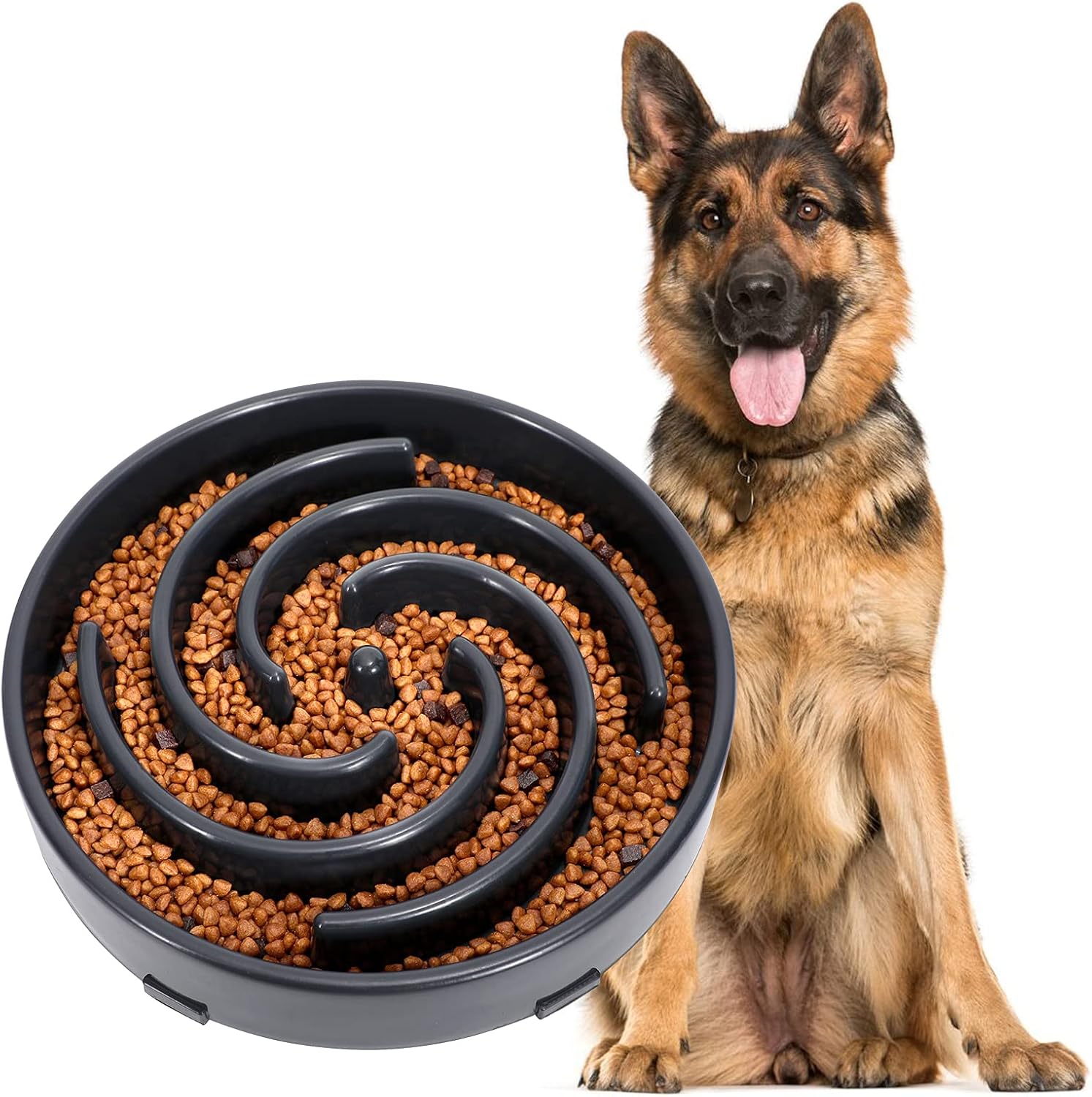 PuzzleFeast • Dog Feeding Bowl Slow