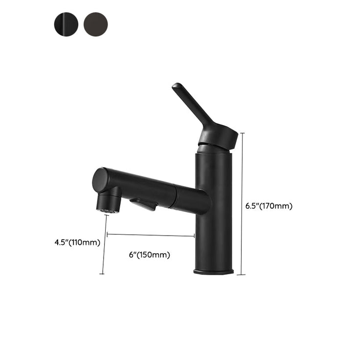 BowLift | Contemporary bathroom sink faucet single-handle swivel spout sink faucet