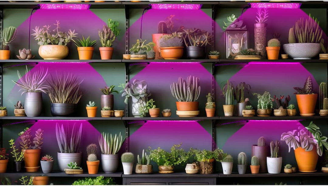 BowLift | LED Quantum Plant Light Panel for Growth and Color Promotion – With Adjustable Light Mode