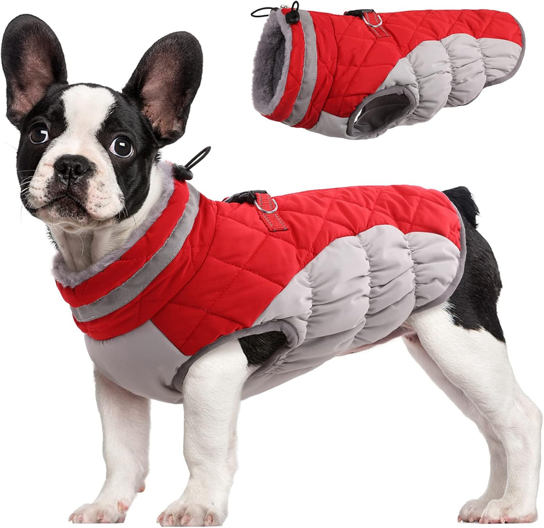 BowLift | SafeWalk Winter Harness Jacket – Waterproof dog jacket with reflection and fleece lining