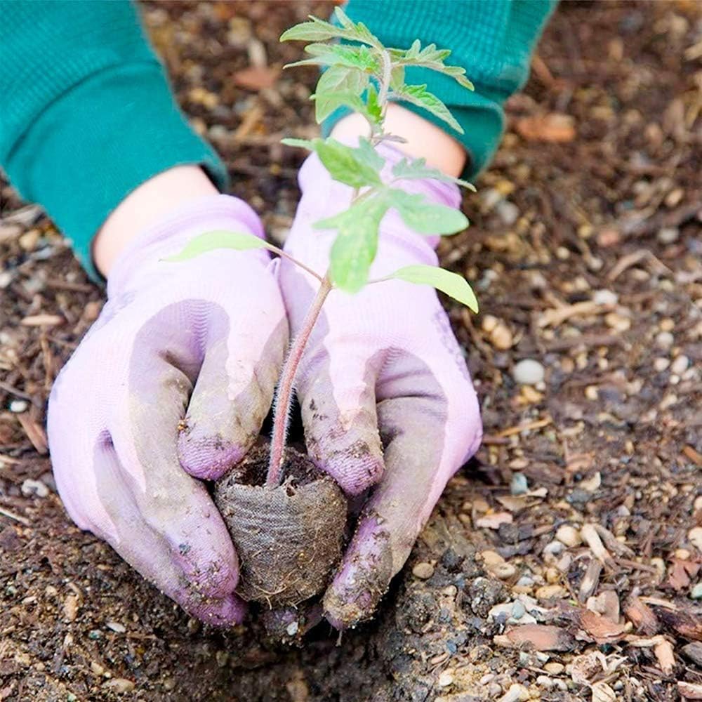 BowLift | Coconut Fiber Peat Seedling Pellets – Starter for Seed Planting