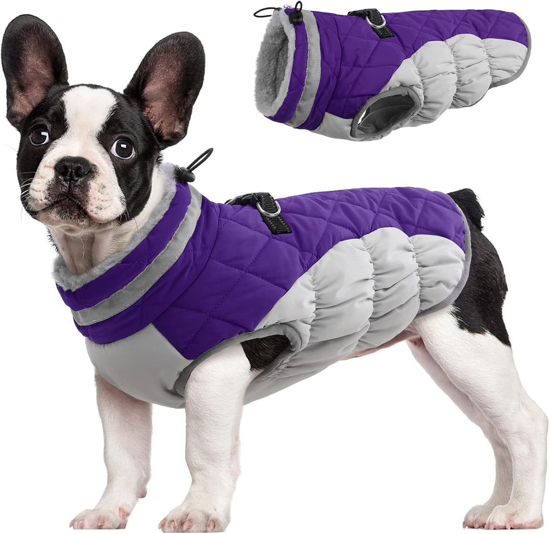 BowLift | SafeWalk Winter Harness Jacket – Waterproof dog jacket with reflection and fleece lining