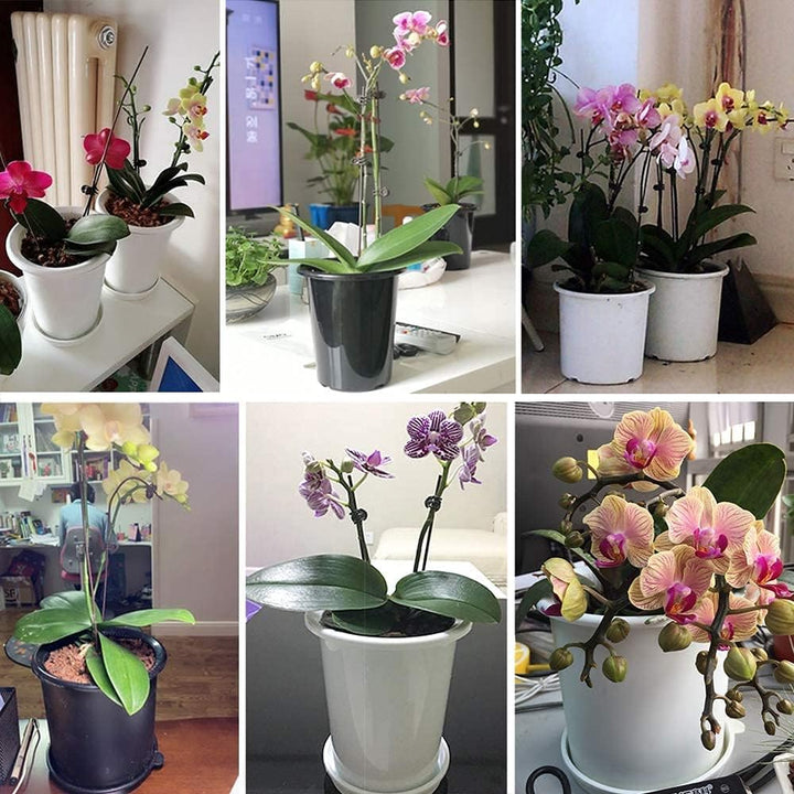 BowLift | Breathable Root Control Pot for Plants – Ideal for Healthy Growth and Optimal Aeration