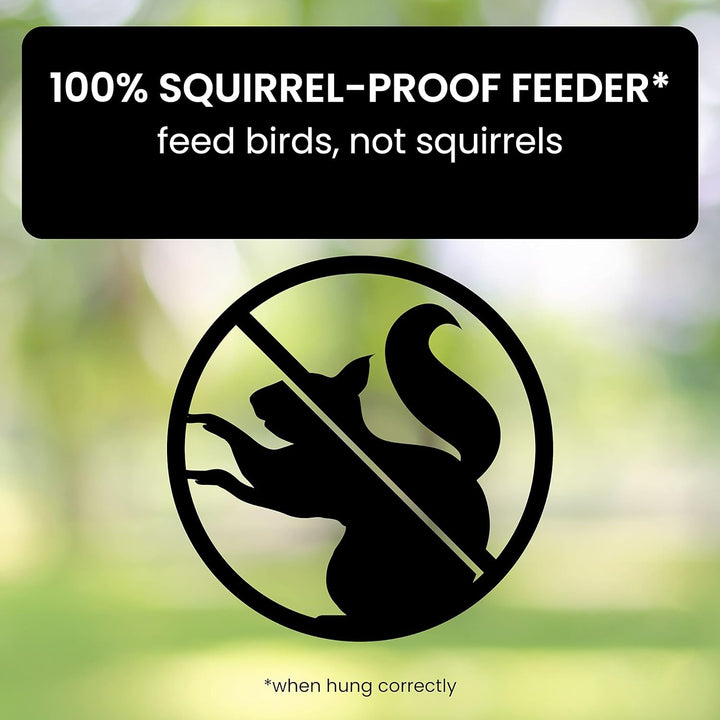 BowLift | Bird Feeder Hanging Metal Squirrel Proof Tube