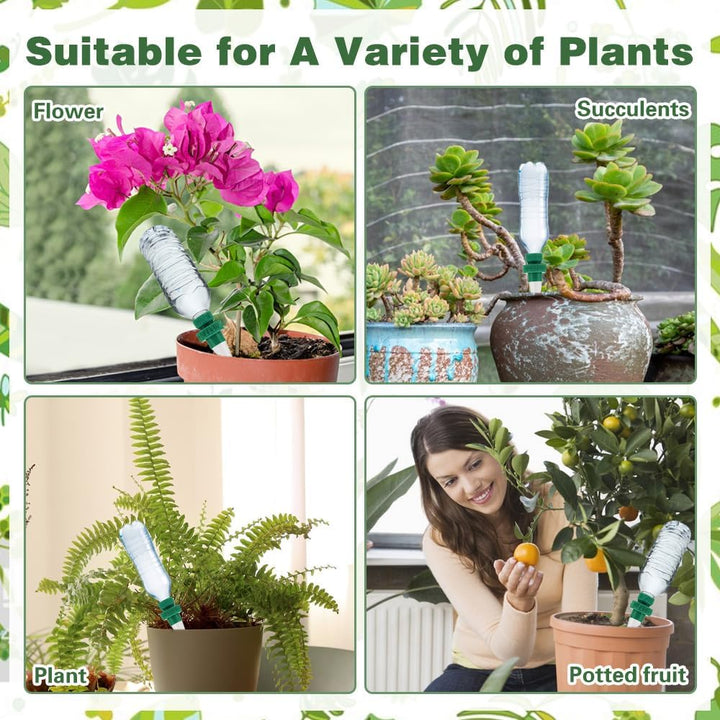 BowLift | Self-watering spikes for plants – Automatic drip tips for bottles