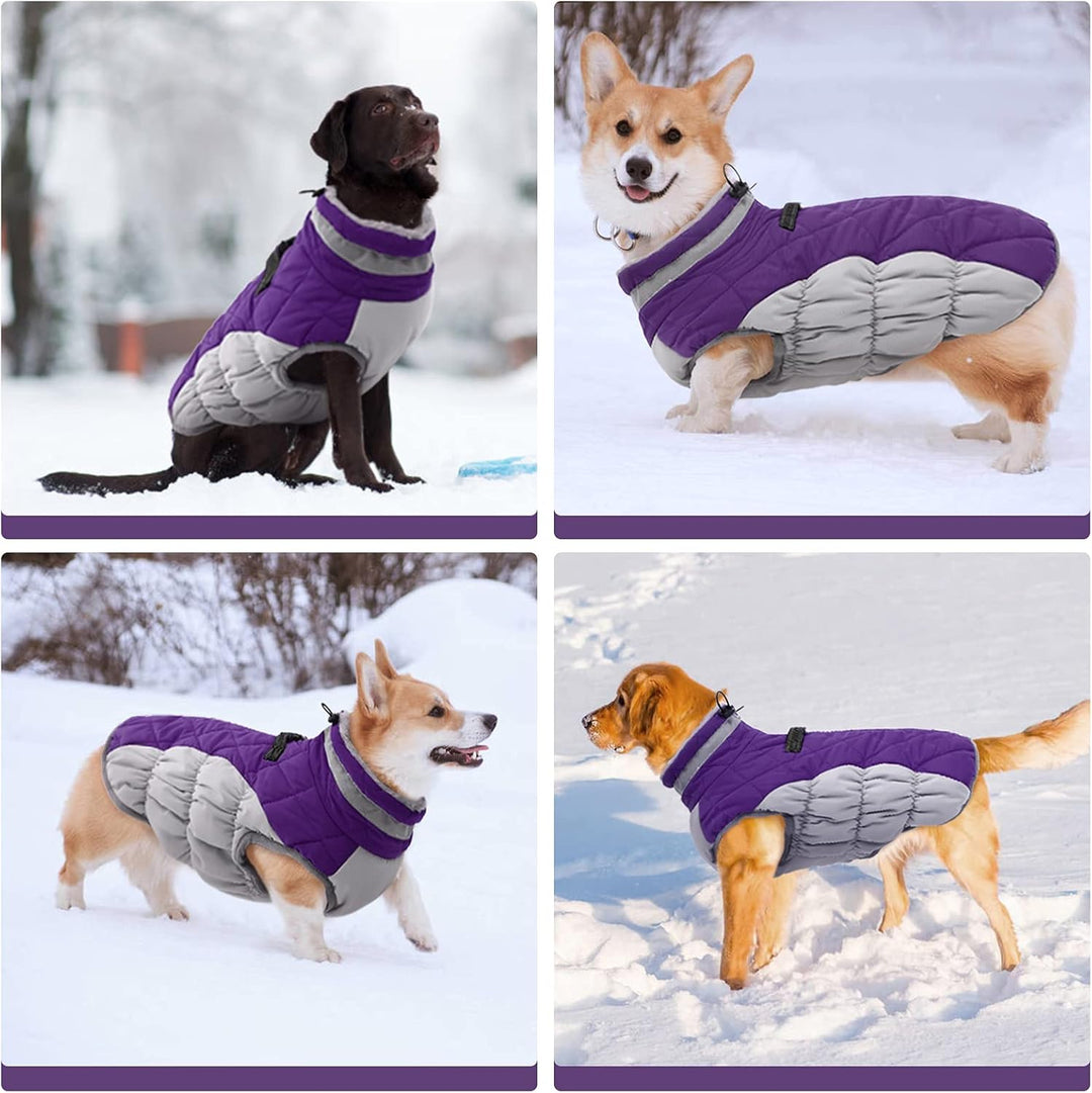 BowLift | SafeWalk Winter Harness Jacket – Waterproof dog jacket with reflection and fleece lining