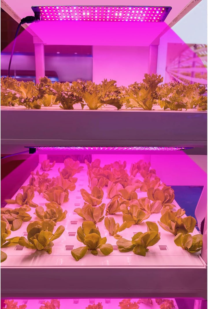 BowLift | LED Quantum Plant Light Panel for Growth and Color Promotion – With Adjustable Light Mode