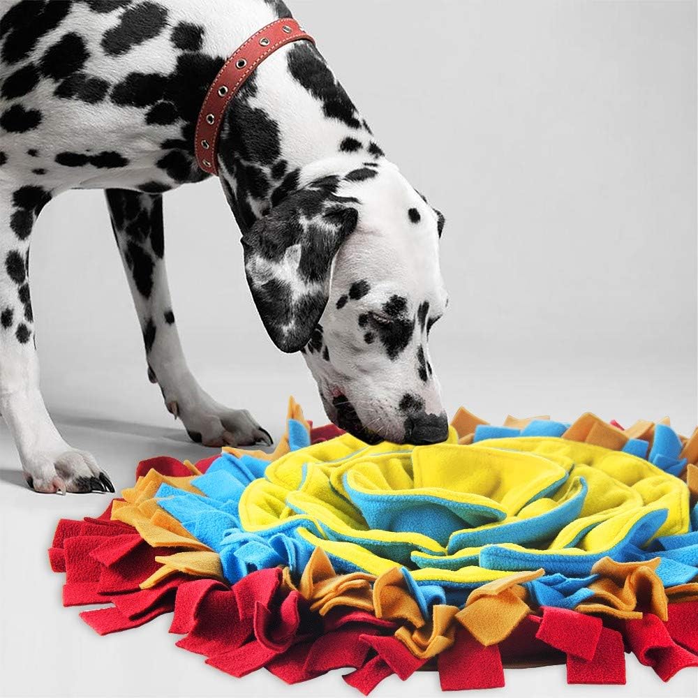 ForageMate •  Interactive Dog Snuffle Feeding Mat