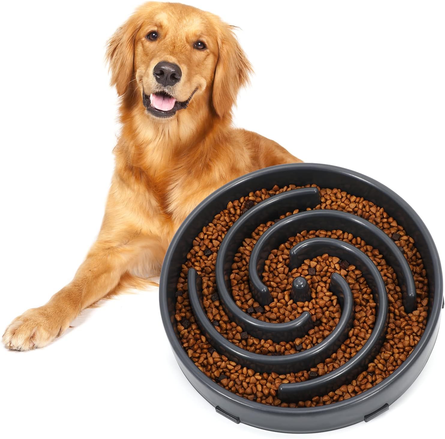 PuzzleFeast • Dog Feeding Bowl Slow