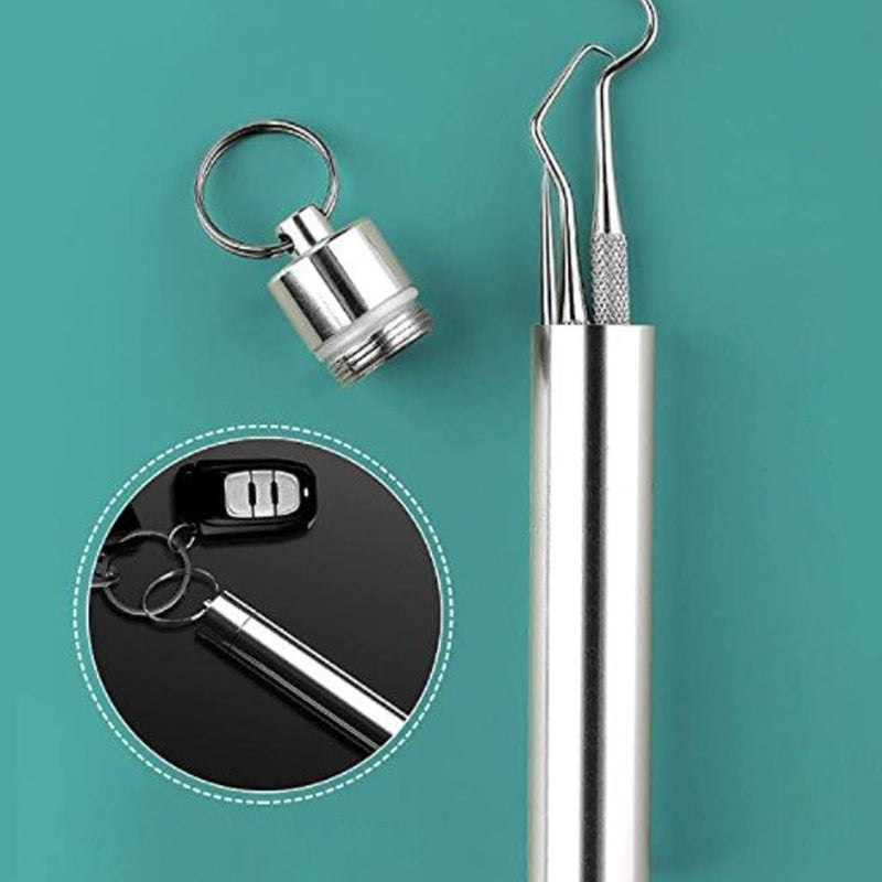BowLift | Stainless Steel Toothpick Set