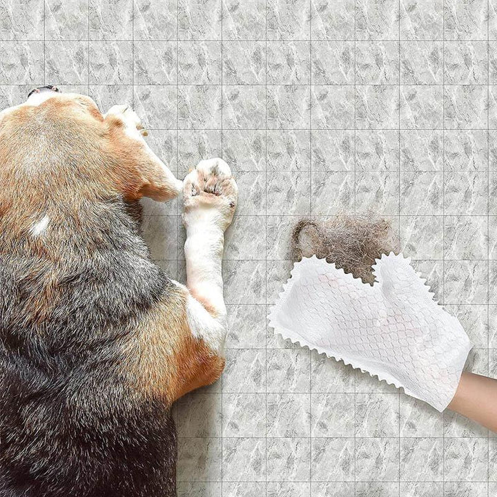 BowLift | Fish scale cleaning dust gloves